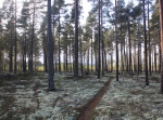 Björkaspåret 18,6 km t.o.r