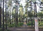 Rågången Östnor - Bonäs- Våmhus, 5,5 eller 8 km