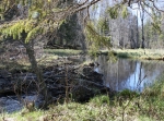 Alderängsrundan 7,5 eller 8,5 km