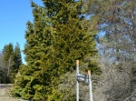 Fulåberg