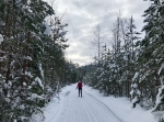 Gesundaberget längdskidor