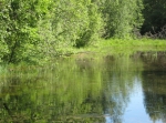 Alderängsrundan 7,5 eller 8,5 km