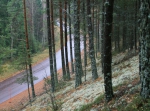 Naturpasset, orientering