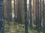 Naturpasset, orientering