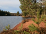Naturpasset, orientering