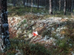 Naturpasset, orientering