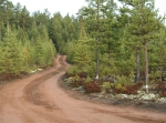 Naturpasset, orientering