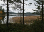 Naturpasset, orientering
