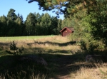 Cykelpasset, cykelorientering