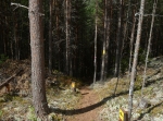 Östnor, VIK-loppet 13 km