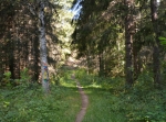 Östnor, VIK-loppet 13 km