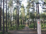 Naturpasset, orientering