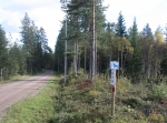 Törnkviststigen 4,5 eller 6 km