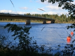 Orsasjön runt, Siljansleden, 43 km