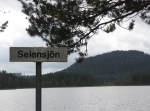 Sälsjöarna på Solleröskogen