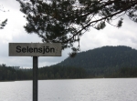 Sälsjöarna på Solleröskogen