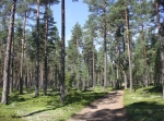 Ätjärn Våmhus