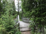 Sågdammen - Rostbergsrundan 20 eller 24 km. Karta Sverigeserien Topo50, blad 82 Mora.