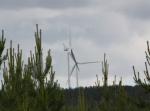 Stora och Lilla Solleröskogen 28 eller 54 km