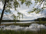 Stora och Lilla Solleröskogen 28 eller 54 km