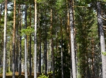 Ätjärn runt 4,5 km