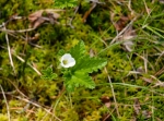 Hållindanstigen 9 km