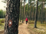 Björnrundan 4,2 km