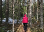 Björnrundan 4,2 km