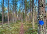 Blå spåret - Hindriksheden