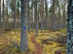 Blå spåret - Hindriksheden