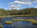 Naturreservatet Filiberg