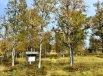 Finnberget med sin ödekyrkogård
