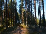 Färnästolvan 12 km