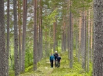 Färdväg mellan Venjan och Axi fäbodar