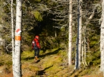 Moranisserundan, Norra Garberg, välj 2,4 eller 6 km