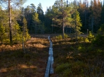 Moranisserundan, Norra Garberg, välj 2,4 eller 6 km