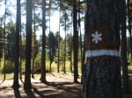 Hemus naturreservat