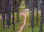 Hemus naturreservat