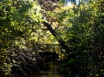 Hemus naturreservat