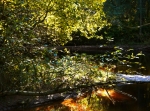 Hemus naturreservat