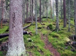 Hökbergs utsiktsrunda 3,5 km