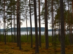 Hökbergs utsiktsrunda 3,5 km