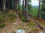 Hökbergs utsiktsrunda 3,5 km