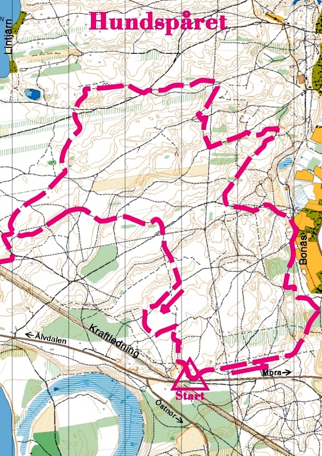 Hundspåret Bonäs 8,4 km