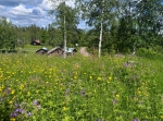 Åsklikten i Venjan