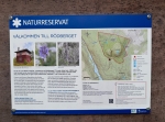 Rödbergets brandtorn och naturreservat i Älvdalen