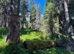 Rödbergets brandtorn och naturreservat i Älvdalen