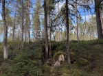 Kalkugnsruin, Södra Selbäck Mora