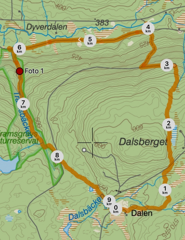 Dalenrundan