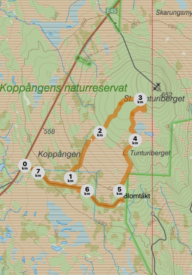 Koppången, vandring